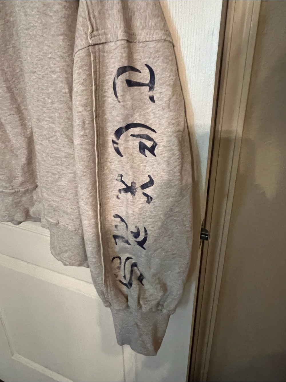 Free People Gaia Sweatshirt Texas Detail In Oatmeal NWT Size XL - Picture 4 of 6